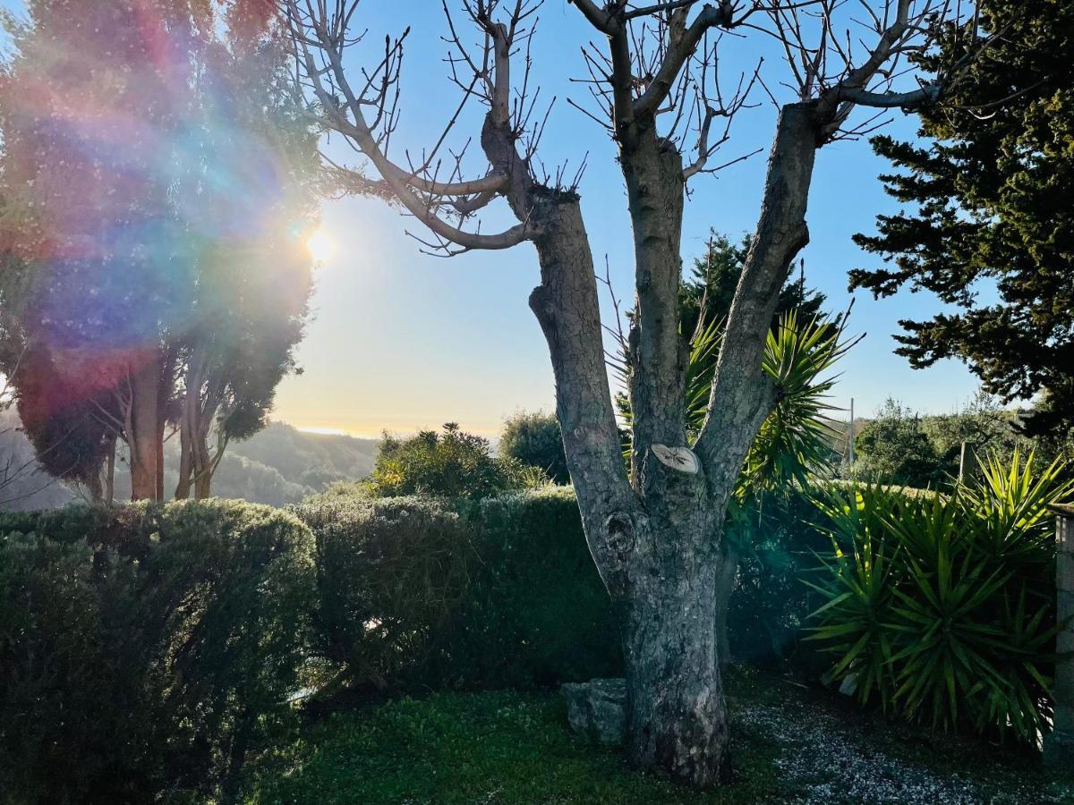 Casetta Luna E Sole Montescudaio Eksteriør billede